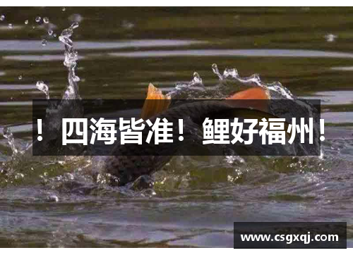 ！四海皆准！鲤好福州！